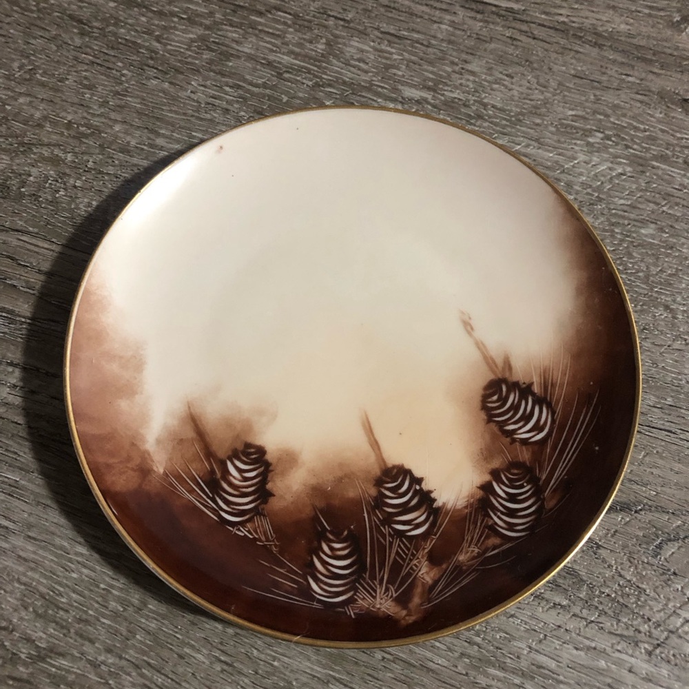 Vintage hand painted plate pinecones Christmas David S. Roth 1449
